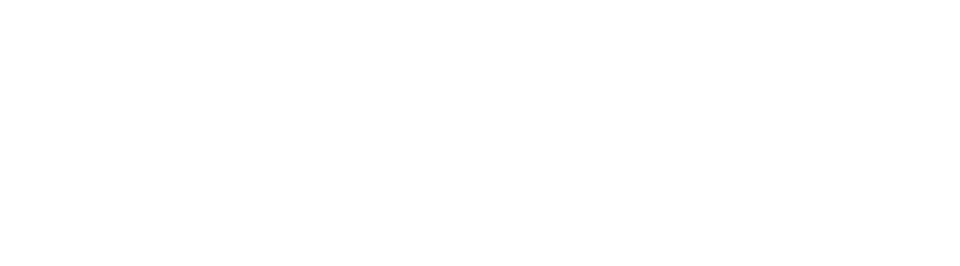 act government